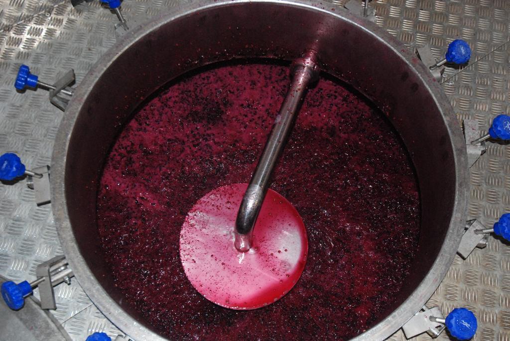 El Vilosell Vilosell Wine Hotel מראה חיצוני תמונה