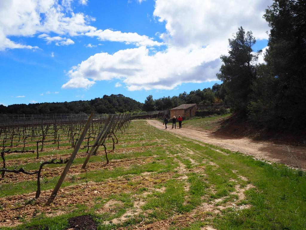 El Vilosell Vilosell Wine Hotel מראה חיצוני תמונה