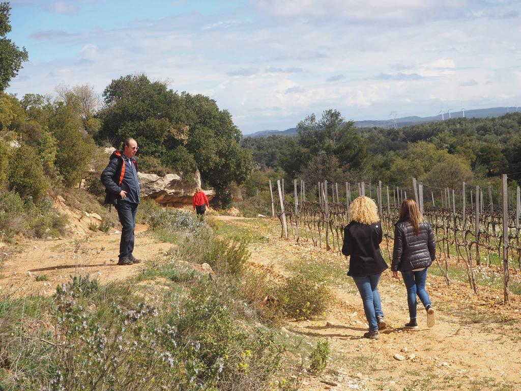 El Vilosell Vilosell Wine Hotel מראה חיצוני תמונה