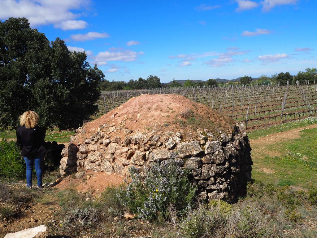 El Vilosell Vilosell Wine Hotel מראה חיצוני תמונה